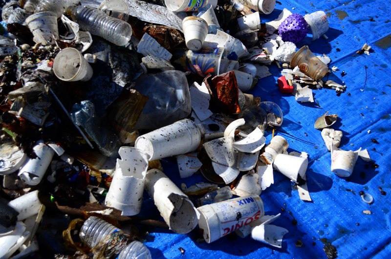 Ảnh: BrightSide Ảnh: BrightSide