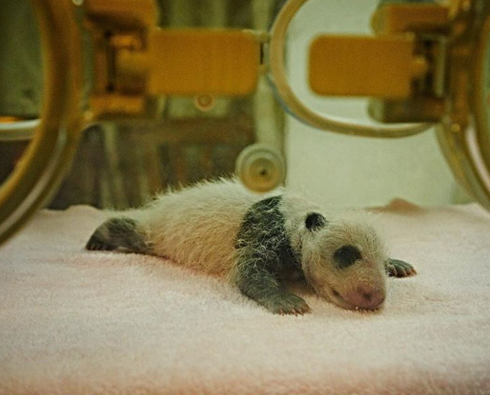 Ảnh: BrightSide Ảnh: BrightSide