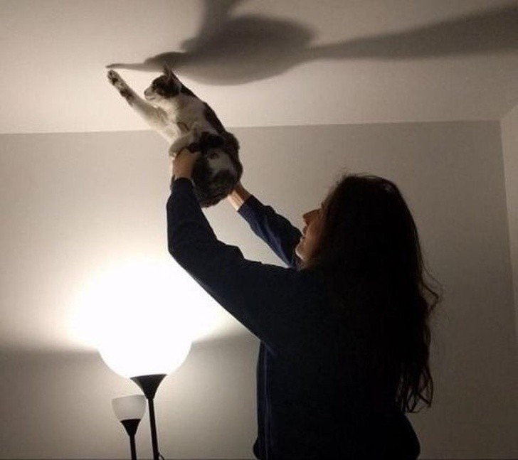 Ảnh: BrightSide Ảnh: BrightSide