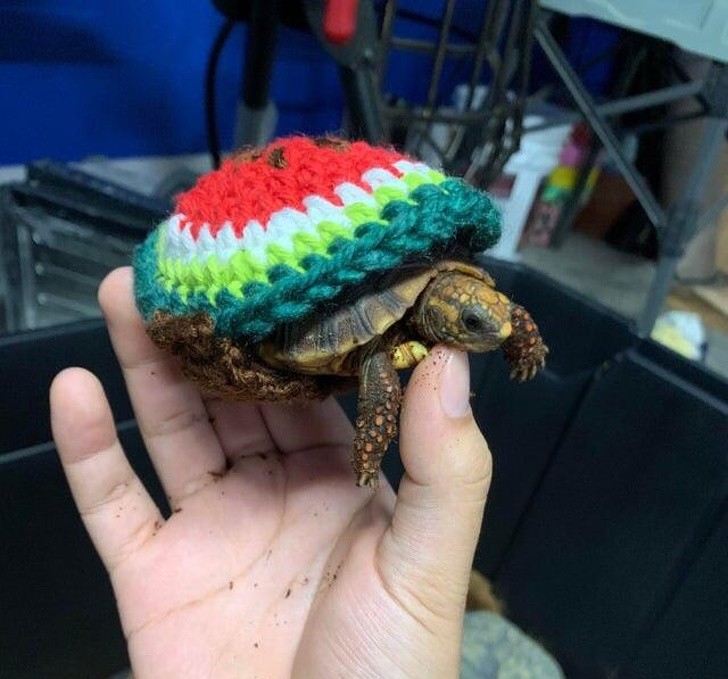 Ảnh: BrightSide Ảnh: BrightSide