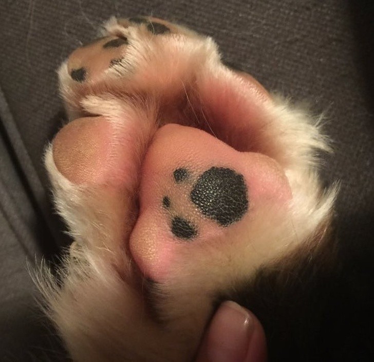 Ảnh: BrightSide Ảnh: BrightSide