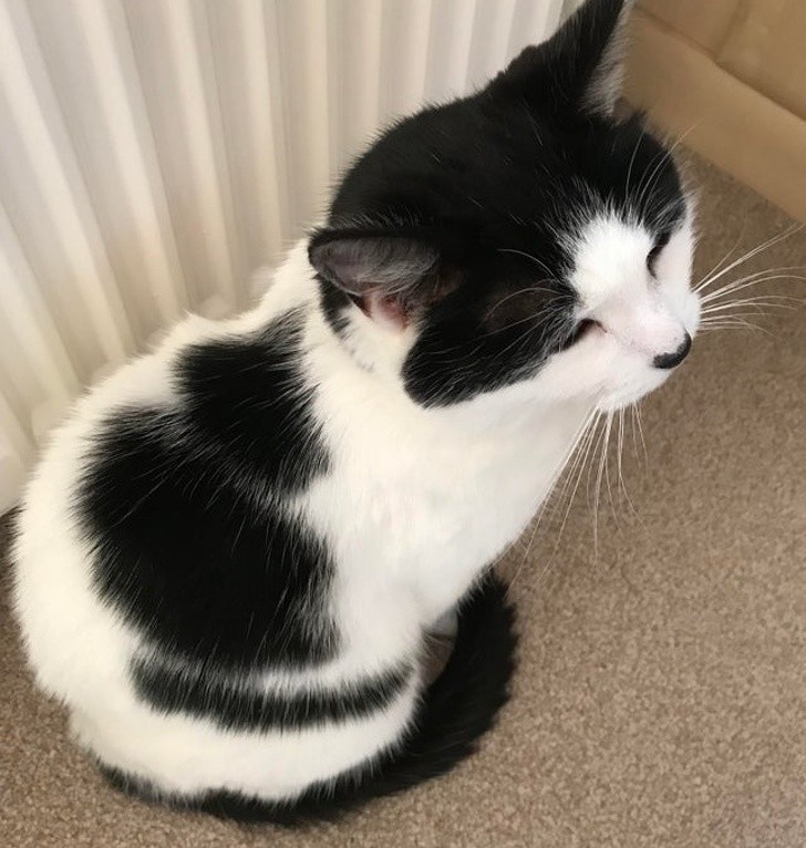 Ảnh: BrightSide Ảnh: BrightSide