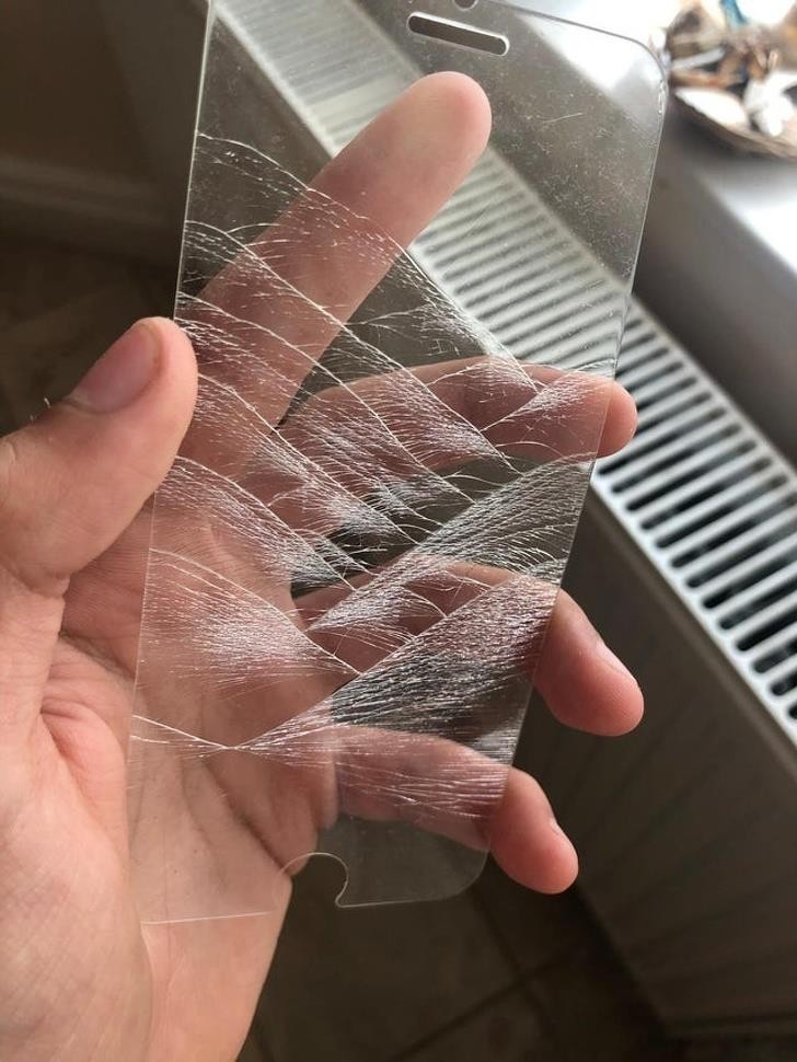 Ảnh: BrightSide Ảnh: BrightSide