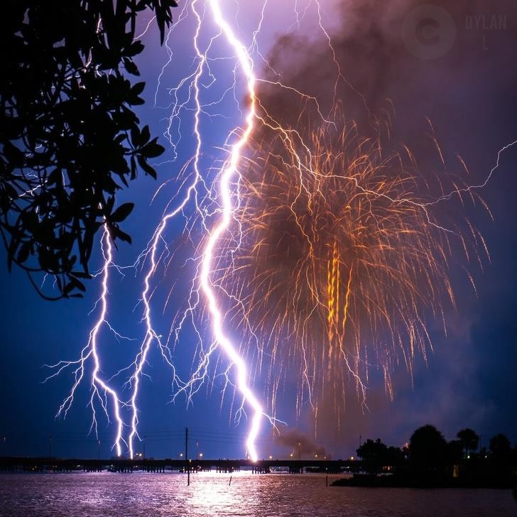 Ảnh: BrightSide Ảnh: BrightSide