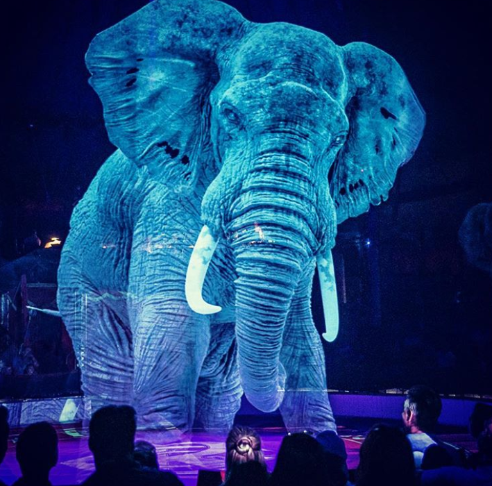 Ảnh: BrightSide Ảnh: BrightSide