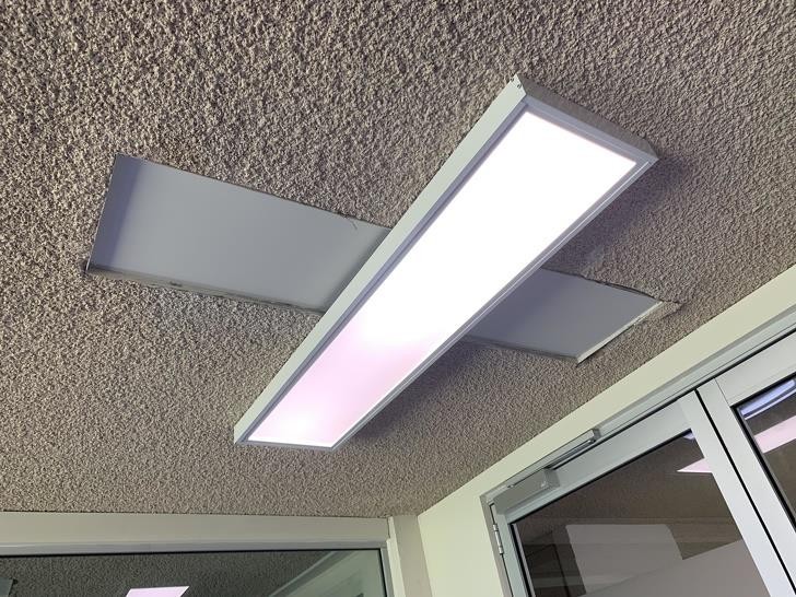 Ảnh: BrightSide Ảnh: BrightSide