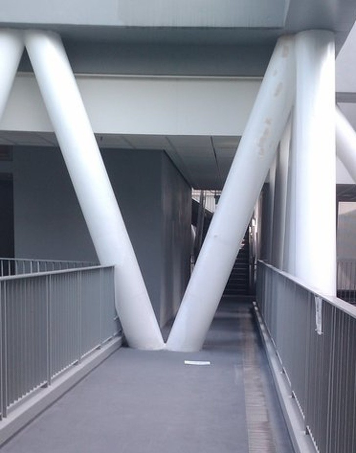 Ảnh: BrightSide Ảnh: BrightSide