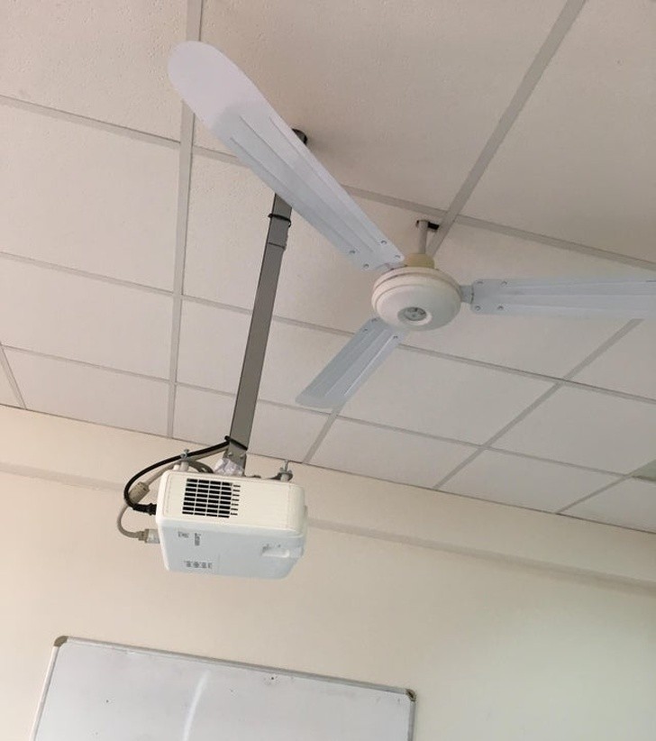 Ảnh: BrightSide Ảnh: BrightSide