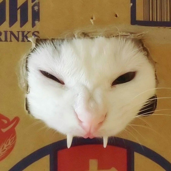 Ảnh: BrightSide Ảnh: BrightSide