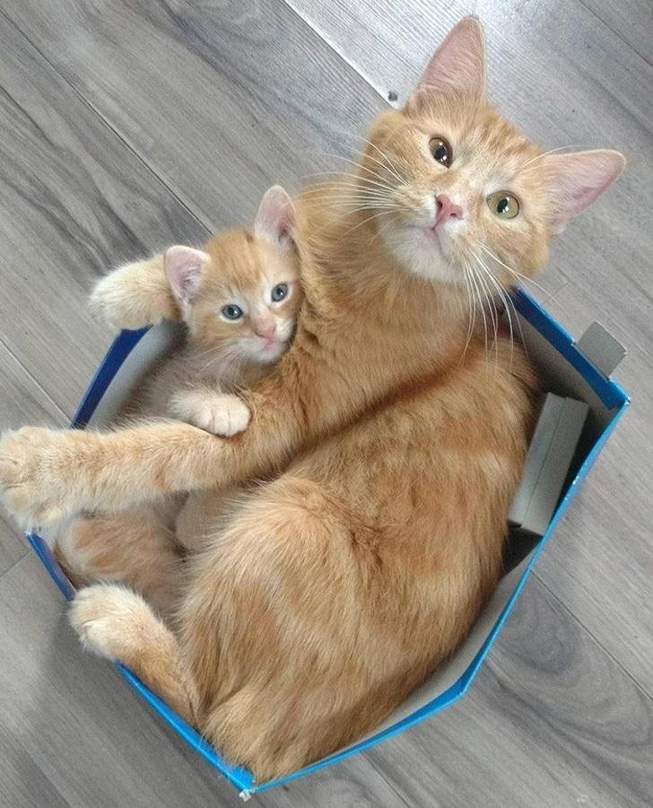 Ảnh: BrightSide Ảnh: BrightSide