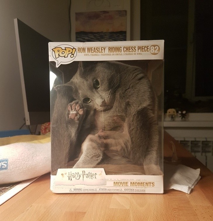 Ảnh: BrightSide Ảnh: BrightSide