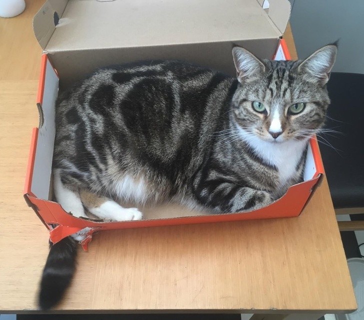 Ảnh: BrightSide Ảnh: BrightSide