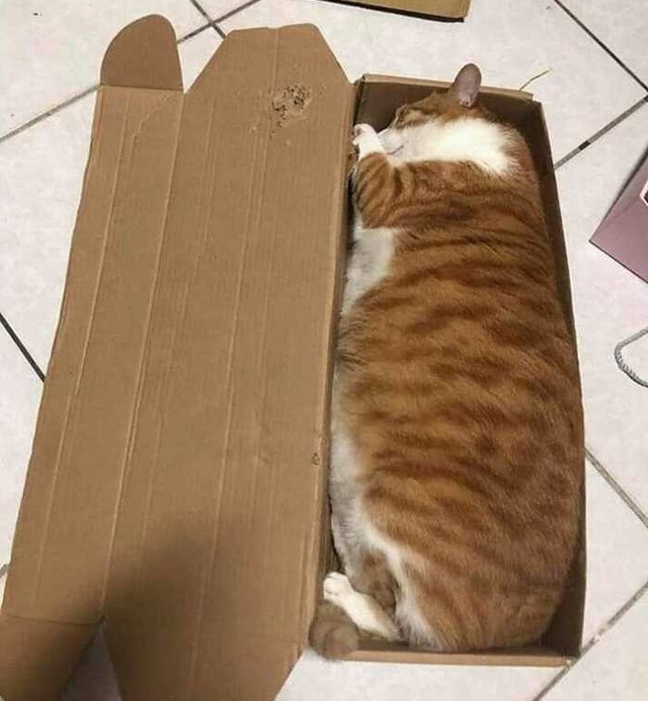 Ảnh: BrightSide Ảnh: BrightSide