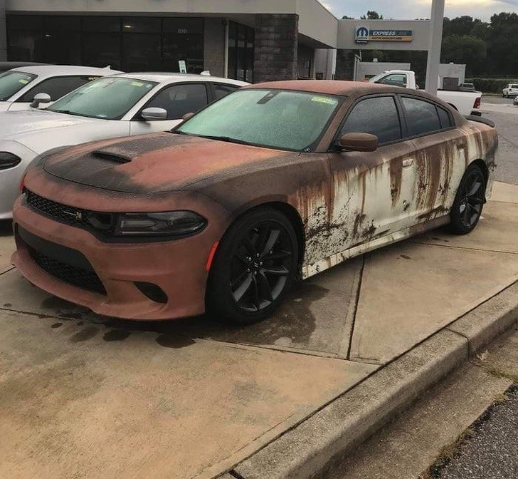 Ảnh: BrightSide Ảnh: BrightSide