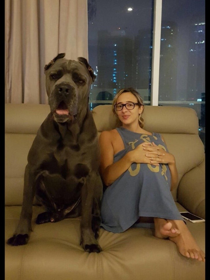 Ảnh: BrightSide Ảnh: BrightSide