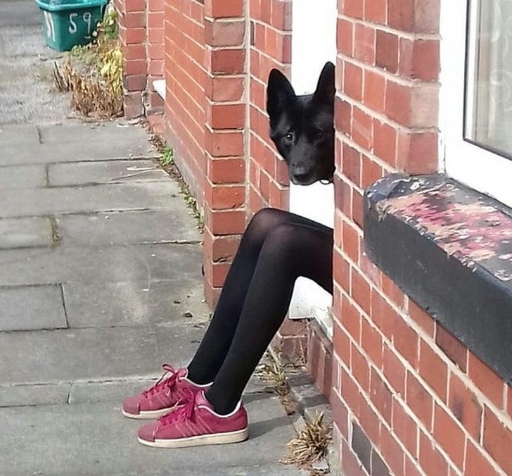 Ảnh: BrightSide Ảnh: BrightSide