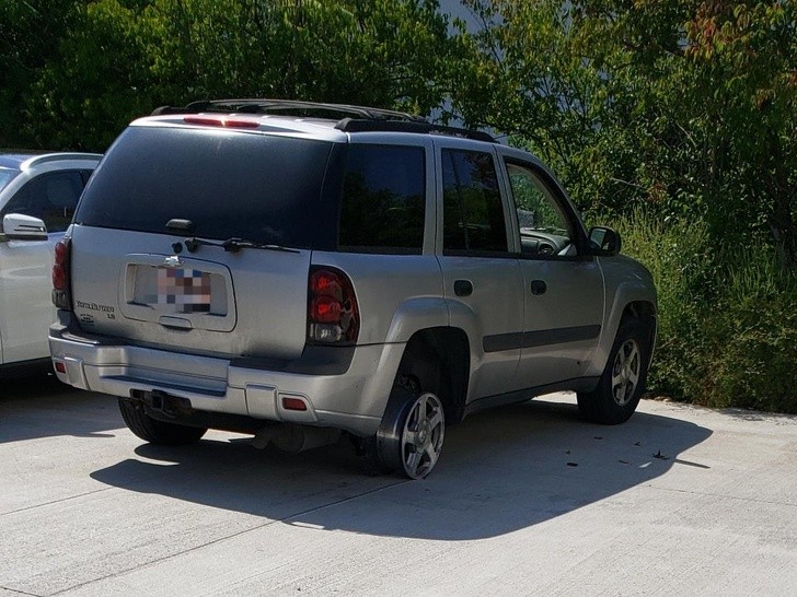 Ảnh: BrightSide Ảnh: BrightSide