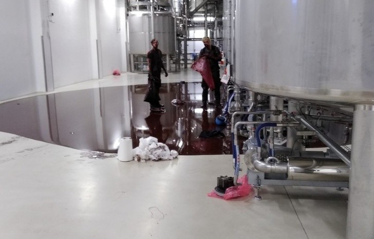 Ảnh: BrightSide Ảnh: BrightSide