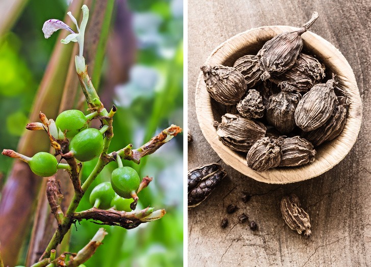 Ảnh: BrightSide Ảnh: BrightSide