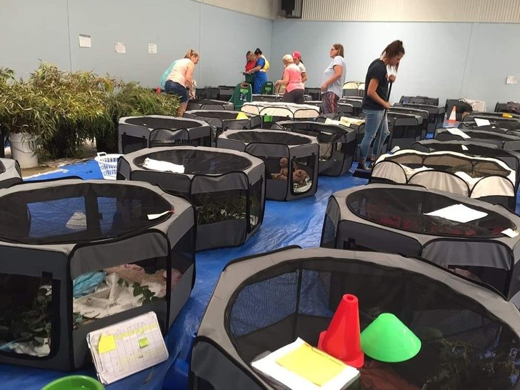 Ảnh: BrightSide Ảnh: BrightSide