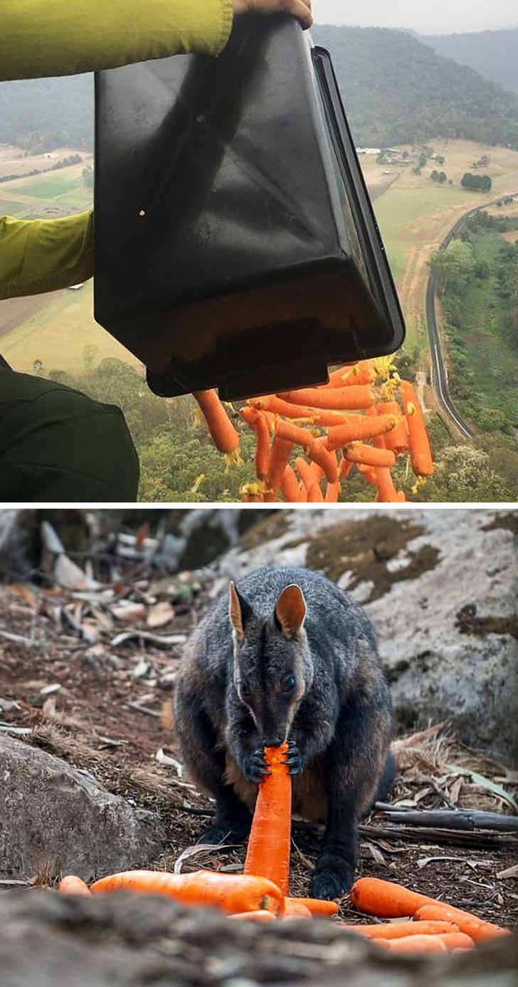 Ảnh: BrightSide Ảnh: BrightSide