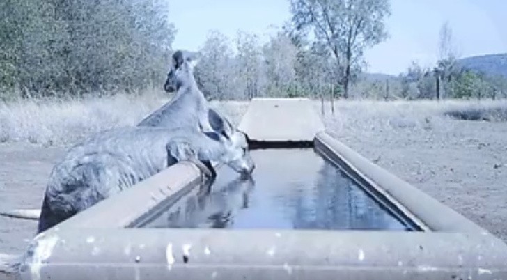 Ảnh: BrightSide Ảnh: BrightSide