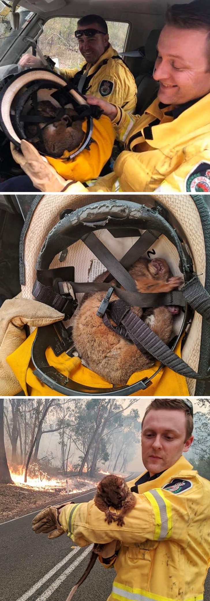 Ảnh: BrightSide Ảnh: BrightSide