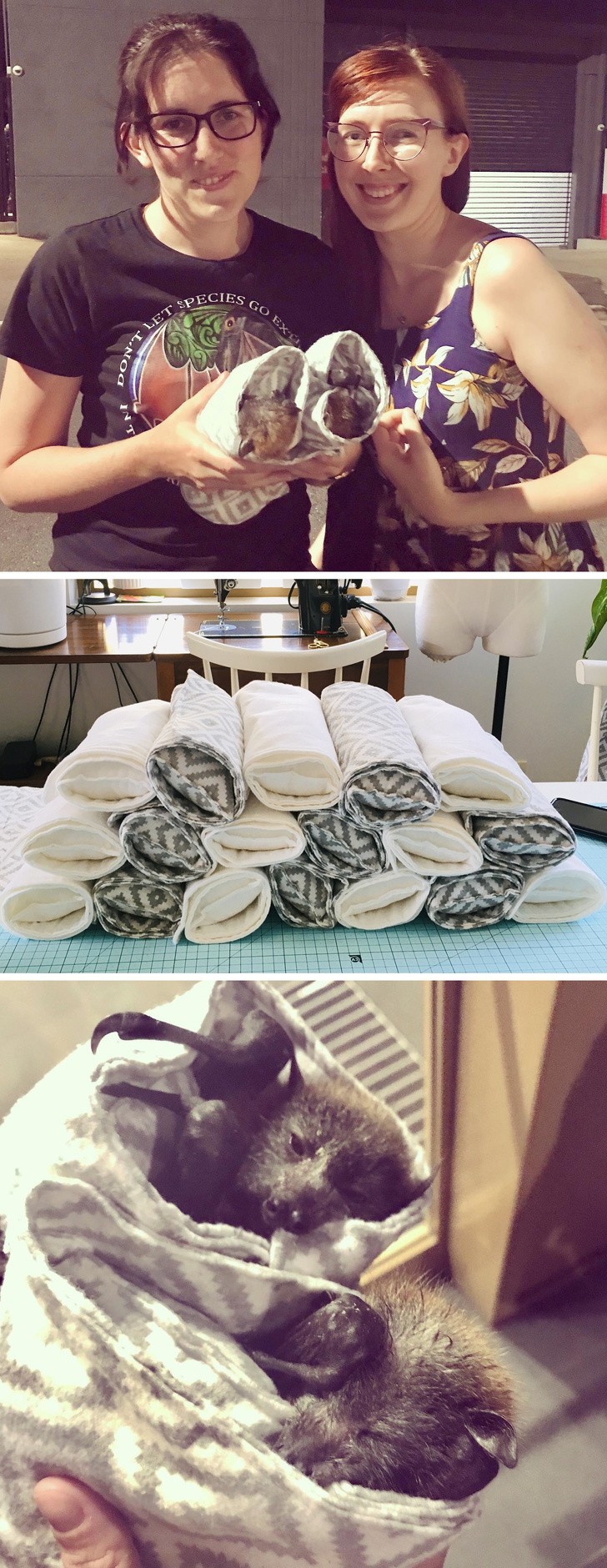 Ảnh: BrightSide Ảnh: BrightSide