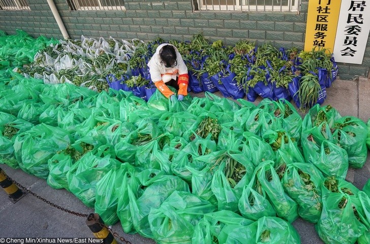 Ảnh: BrightSide Ảnh: BrightSide