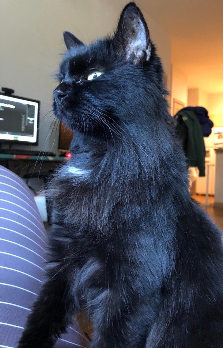 Ảnh: BrightSide Ảnh: BrightSide