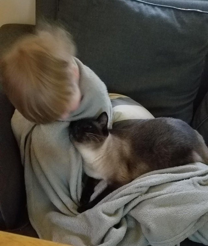 Ảnh: BrightSide Ảnh: BrightSide