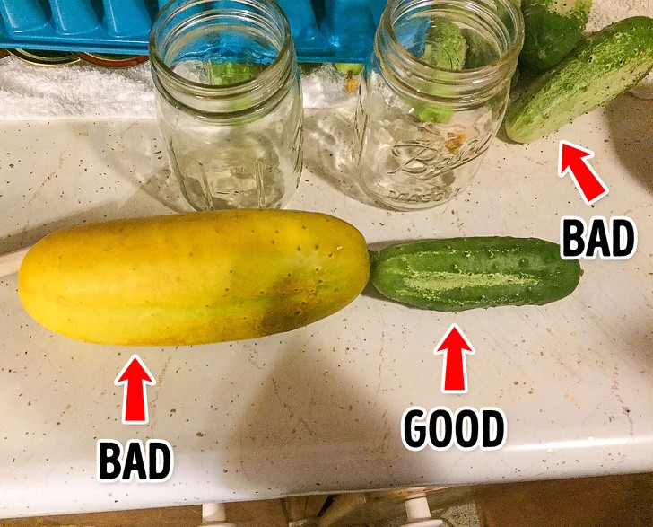 Ảnh: BrightSide Ảnh: BrightSide