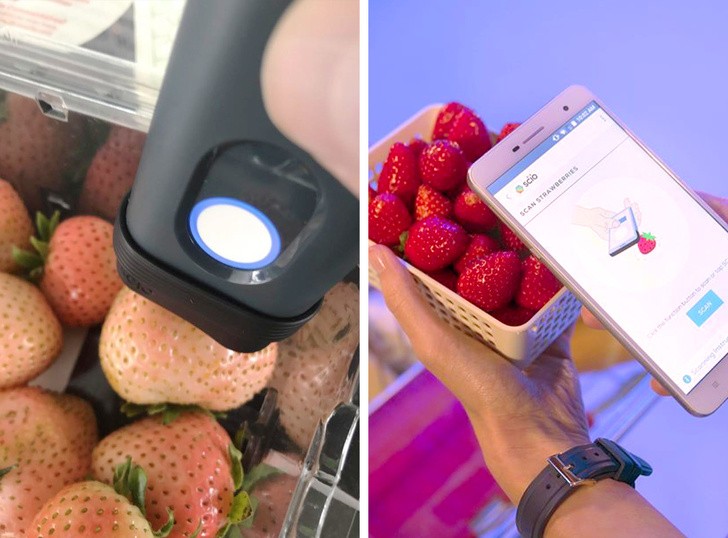 Ảnh: BrightSide Ảnh: BrightSide