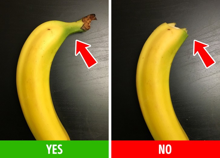 Ảnh: BrightSide Ảnh: BrightSide