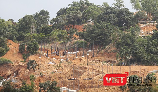 Dự án "băm" bán đảo Sơn Trà: Sở NN&PTNT cho phá rừng để tận thu củi?