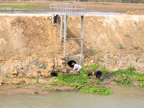 Hạn hán, xâm nhập mặn ảnh hưởng lớn đến việc thu - chi của tỉnh Cà Mau (Ảnh minh họa)