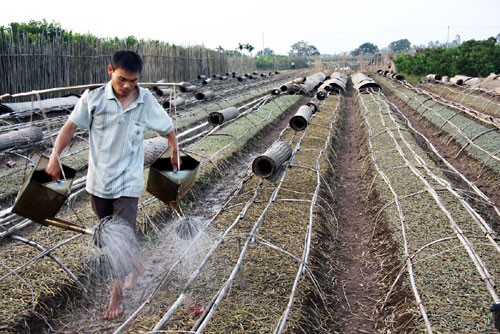 Ảnh minh họa, nguồn internet