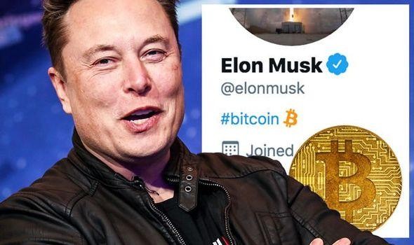 Những dòng tweet "vạ miệng" đang khiến Elon Musk phải đối mặt với nhiều vụ kiện từ phía cổ đông. Ảnh: Daily Express