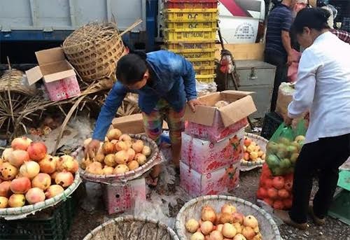 Nhờ buôn hoa quả Trung Quốc mà nhiều người kiếm được tiền tỷ, xây được nhà lầu