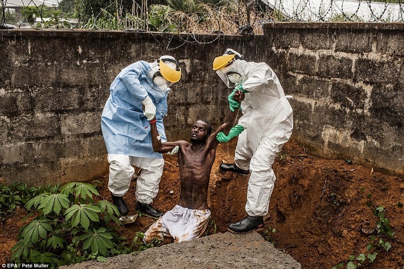 Bức ảnh này được thực hiện bởi Pete Muller, ghi lại người đàn ông nhiễm vi rút Ebola ở Freetown, Sierra Leone điên cuồng hoảng loạn cố thoát khỏi sự cô lập ở Trung tâm điều trị Hastings Ebola. Anh ta đã bị các nhân viên giữ và đưa quay trở lại trung tâm t