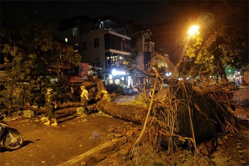 Một người chết, 3 bị thương vì dông lớn tại Hà Nội