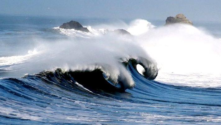 Sáng biển ở California. Ảnh minh họa One Earth.