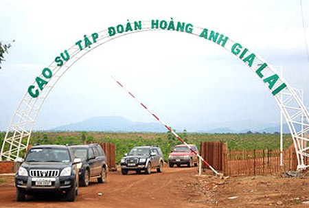 Hàng loạt ngân hàng “ngậm đắng” với trái phiếu Hoàng Anh Gia Lai?