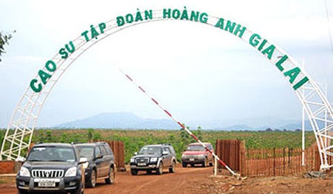 Ảnh minh họa. (Nguồn: Internet)