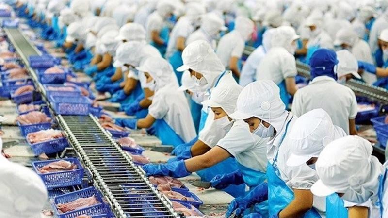 Lãi gần 200 tỉ đồng quý 4/2022, Vĩnh Hoàn vẫn rót thêm tiền mua cổ phiếu NLG và DXS