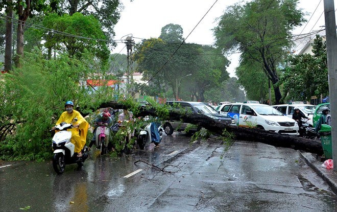 Ngày mai 29/7, dự báo sẽ tiếp tục mưa to nhiều nơi.