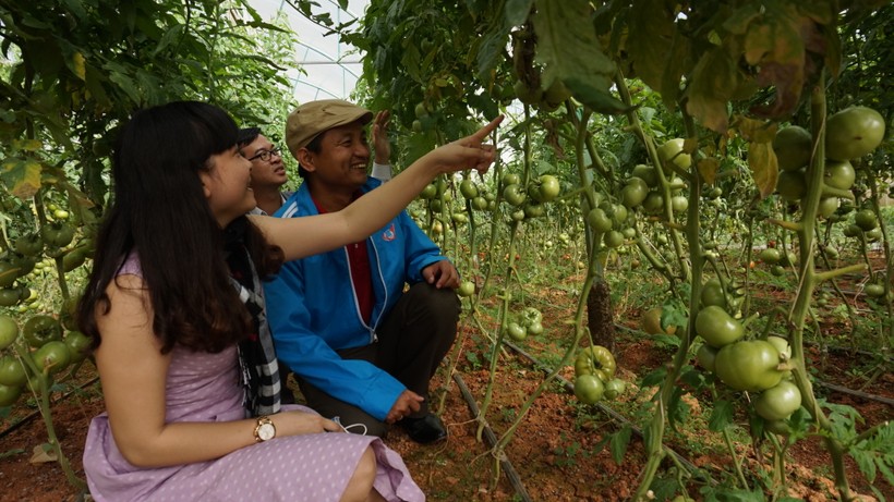 Các bạn trẻ hào hứng thâm nhập mô hình nông nghiệp công nghệ cao (Ảnh minh hoạ).