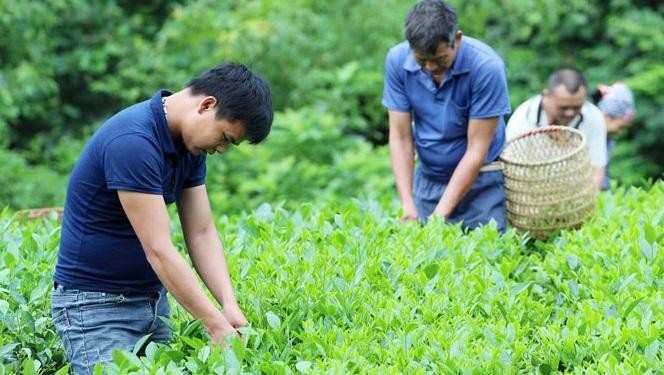 Người đứng đầu cấp ủy, chính quyền, thủ trưởng các cơ quan, đơn vị cần bám sát tình hình thực tiễn, khẩn trương bắt tay ngay vào công việc.