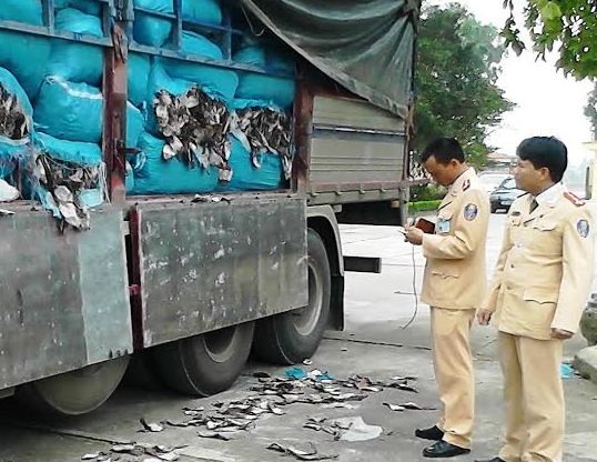 Lực lượng công an tiến hành kiểm tra xe tải và phát hiện lô hàng 20,4  tấn mực khô bốc mùi hôi thối.