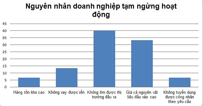 Nguyên nhân dẫn đến việc tạm ngừng hoạt động của doanh nghiệp (kết quả khảo sát VBIS-VCCI)